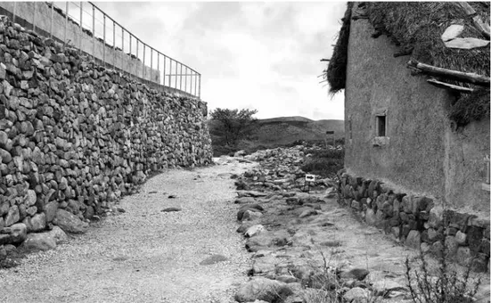 Fig. 5. Las casas de la ciudad destruidas por Escipión dejaban entre su parte posterior y la muralla una calle  de ronda.