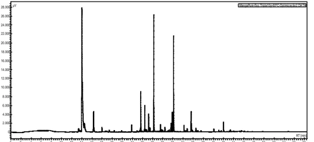 Figura 22 - Cromatograma obtido no estabelecimento do método pelo método SPME - Temperatura de 60ºC e  tempo de incubação de 30 minutos: Exposição tripla