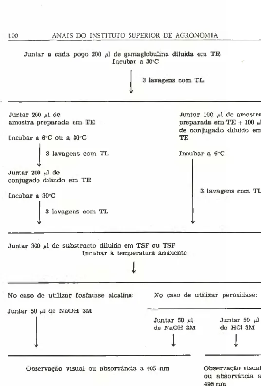 Fig. 1. Execução da técnica ELISA