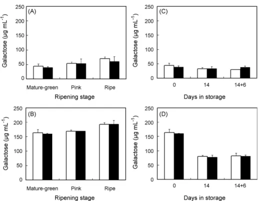 Fig. 3. Concentration of free galactose in the apoplastic (A and C) and bulk (B and D) fluids of tomato pericarp extracted from PG-antisense (white bars) and wild- wild-type (black bars) fruit