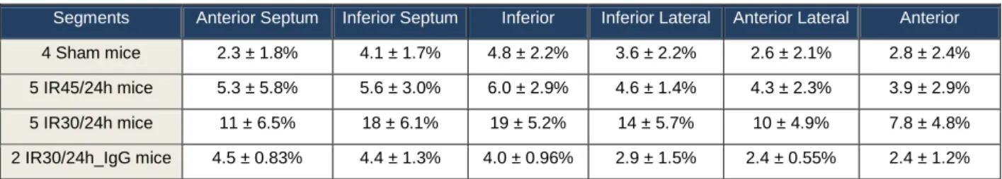 Table 4.1 and Figure 8 show the results obtained for myocardial segments of all mice, using the  threshold  value  of  -1xSD (ROI)   below  the  mean  and  considering  skeletal  muscle  as  ROI