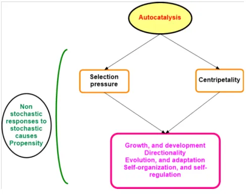 Figure 1.1. Atempt to synthesize the causal chain related to autocatalysis. Main source of this fgure is Ulanowicz   (2009)