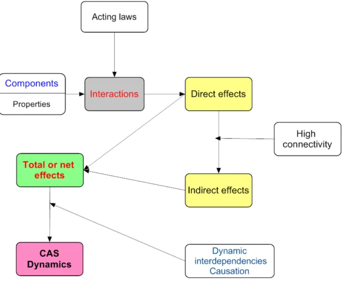 Figure 2.2. Simplifed conjecture about the dynamics of CAS