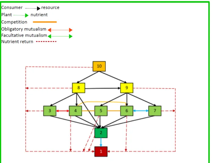Figure 4.1. Flowchart of the simulated ecosystem 