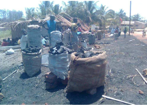 Fig. 5 - Venda de lenha e carvão vegetal no mercado informal de Nampula  