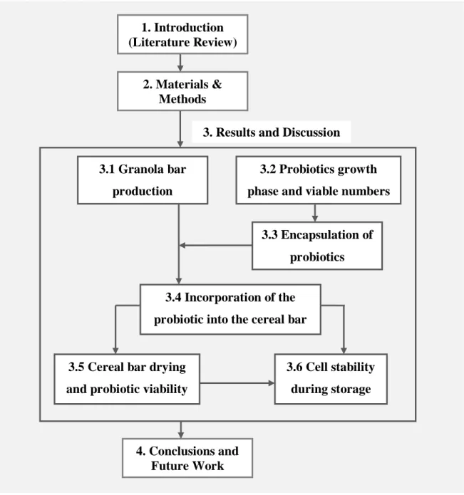 Figure 1.1 Diagram of relationship between sections of the work. 
