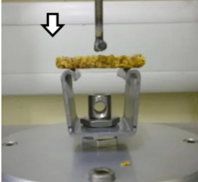 Figure 2.2. A three-point bending rig. A compression force (white arrow) was applied over  the middle of the cereal bar and the peak force was registered