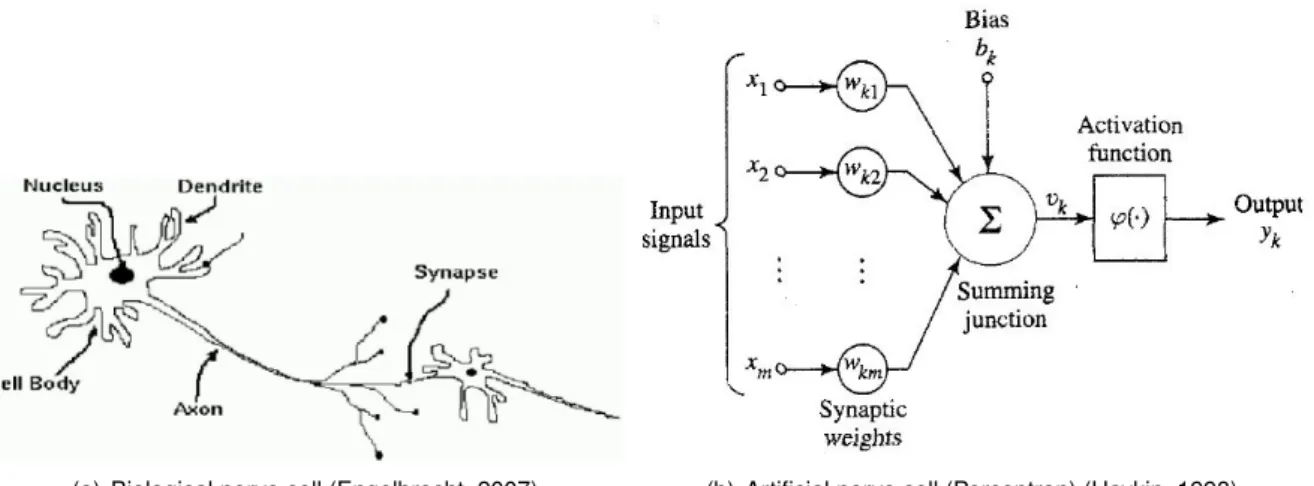 Figure 4.1: Adaptation of a biological nerve cell to a artificial nerve cell