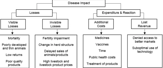 Figure 4: Compartmentalized disease impact on a livestock system 