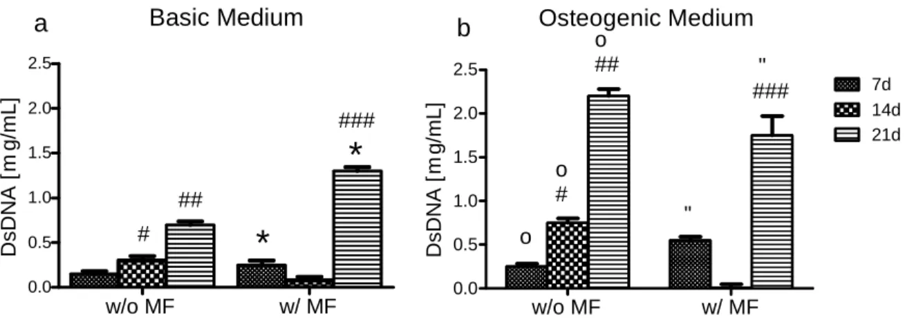 Figure  3.4.2.1:  Cell  content  (proliferative  capacity)  of  hASCs  in  the  presence  of  MNPs  undergoing  osteogenic  differentiation