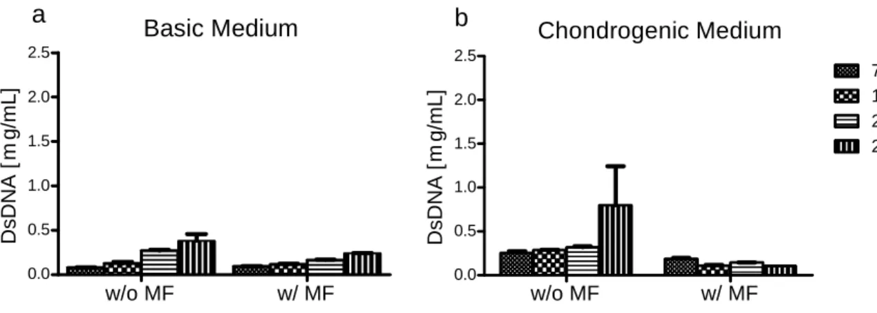 Figure 3.4.2.2: Cell content of hASCs cultured in the presence of MNPs undergoing chondrogenic differentiation