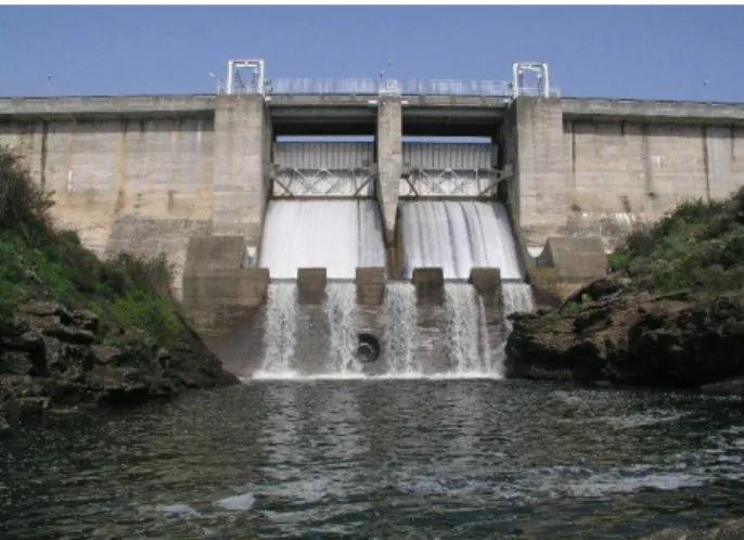 Figura 2.1 - Vista de jusante da barragem do Monte Novo - barragem gravidade   