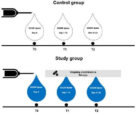 Figure 3. Study design scheme. 