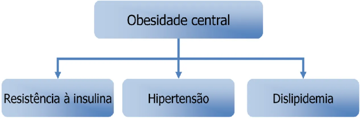 Figura 4- Relação entre obesidade central, resistência à insulina, hipertensão e  dislipidemia