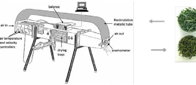 Figure 1.  Scheme of the pilot plant tray dryer. 