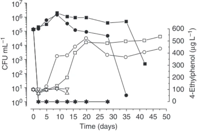 Fig. 4. Effect of temperature on the viability (filled symbols) and 4-ethylphenol production (open symbols) of Dekkera bruxellensis ISA 1791 inoculated in red wine with 12% (v/v), pH 3.50, without free sulphur dioxide (&amp;, ’, 15 1C; , , 25 1C; n , m , 3