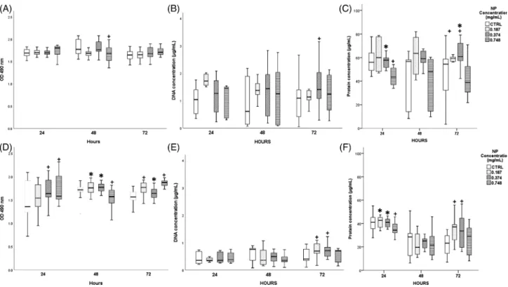 FIGURE 5. Human endothelial cells behavior after exposure to type A NPs suspensions (cells viability [A], dsDNA concentration [B] and total protein content [C]) and to type B NPs suspensions (cells viability [D], dsDNA concentration [E], and total protein 