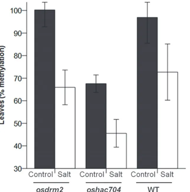 Fig 5. Global DNA methylation levels in rice mutants. Leaves of the osdrm2 and oshac704 rice mutants and WT (Dongjin) in control or salt stress conditions (24h of 200 mM NaCl) were used