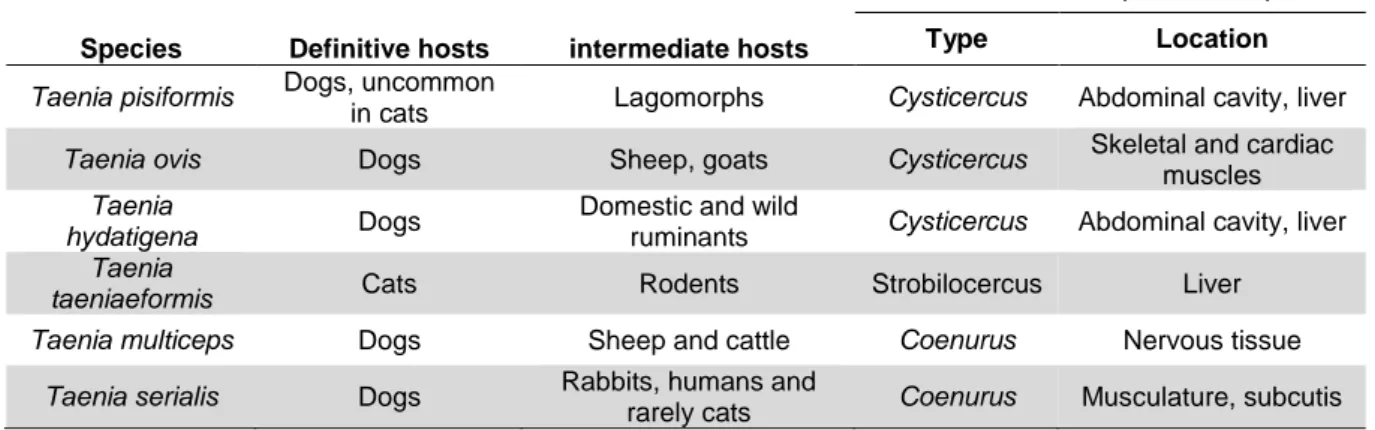 Table 6 Some Taeniidae tapeworm species affecting carnivores (adapted from Ballweber,  2001) 