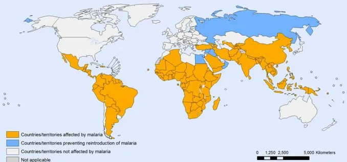 Figure  1:  Countries  and  territories  affected  by  malaria  in  2010.  Tropical  and  subtropical  regions  are affected by malaria worldwide