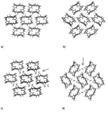 Figure 3.9 – Crystalline structure of form I (a), II (b), dihydrate D (c) and B (d) of  olanzapine