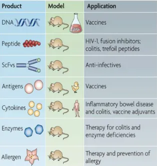 Figure  2  -  Recent  applications  of  LAB  delivery  systems:  The  single-chain  variable  fragments  (scFvs)  molecule,  could  be  used  for  different  applications  (therapy,  anti-infectives  or  passive  immunization)