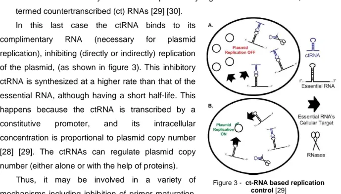 Figure 3 -  ct-RNA based replication  control [29] 