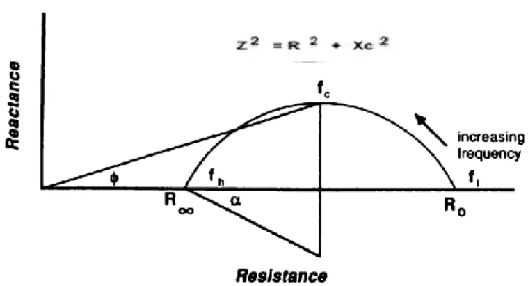 Figure 2: Impedance plot illustrating the relationships  between resistance (R), reactance (Xc), and phase angle (º)  (Baumgartner, Chumlea, &amp; Roche, 1988) 