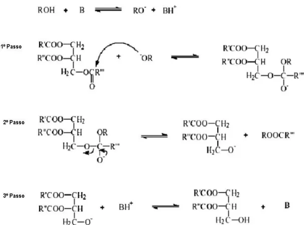 Figura 1.5- Mecanismo da transesterificação por catálise básica dos óleos vegetais (adaptado  de Balat et al, 2010)