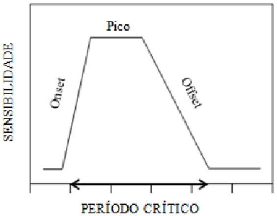 Figura 1. Protótipo do período crítico (adaptado de Birdsong, 2005) 