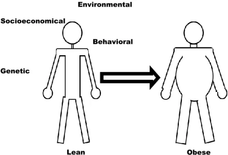 Figure 1 – Factors that (not only the now outdated, “lack of willpower” thinking) contribute to an  increase  in  weight  leading  to  obesity,  development  of  cardiovascular  problems,  insulin  resistance  and diabetes