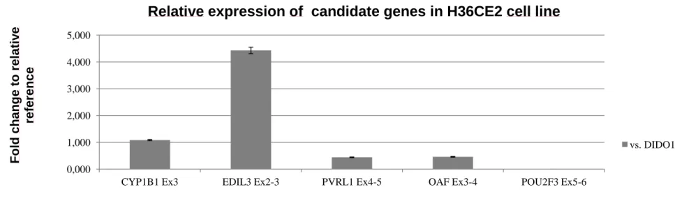 Figure 1.4 Relative expression levels of candidate gene transcripts. (a) Bar graphs depicting the relative expression of CYP1B1 and EDIL3 and PVRL1 transcripts