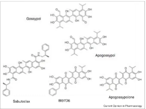 Figura 4: Estrutura química do gossypol e seus derivados (34) 