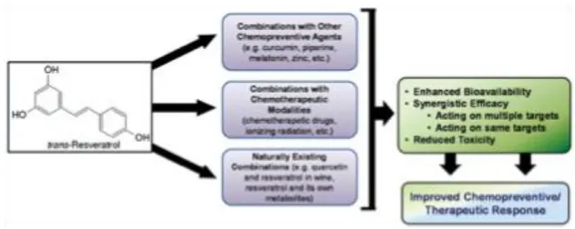 Figura 5: Estratégias combinatórias para a utilização de resveratrol no cancro.  