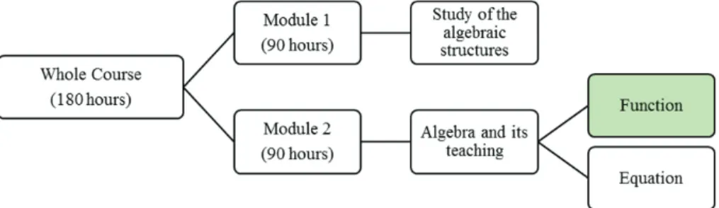 Figure 1 presents the structure of the course, with emphasis on the moment in which the  data considered in this article were produced