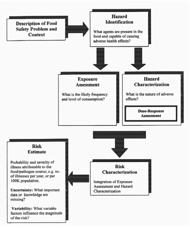 Figure 2: Steps of microbial food safety risk assessment (From: Lammerding &amp; Fazil (2000))