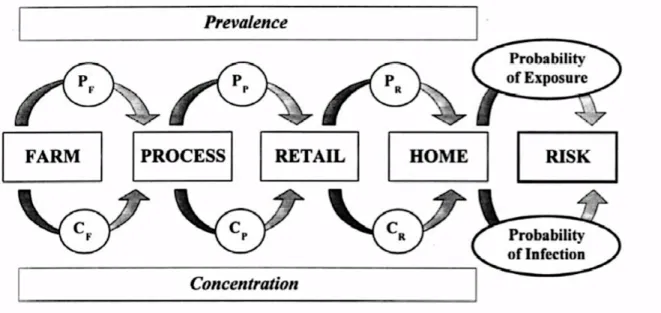 Figure 6 shows the elements of a farm-to-fork risk assessment. The changes in prevalence and  concentration of a pathogen are assessed from the farm level through processing and retail to  final consumption by the consumer (Lammerding &amp; Fazil, 2000)