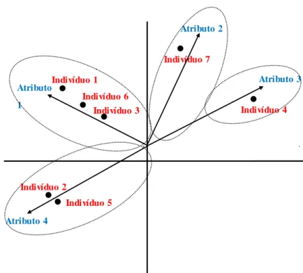 Figura  3.8 - Representação  da  relação  entre atributos  e indivíduos  no HJ-BIPLOT