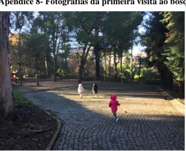 Figura 11- Chegada das crianças ao bosque: as crianças estão a correr em direção ao parque  infantil que está situado no início do bosque