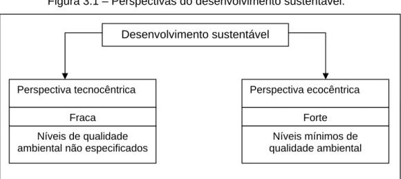Figura 3.1 – Perspectivas do desenvolvimento sustentável. 
