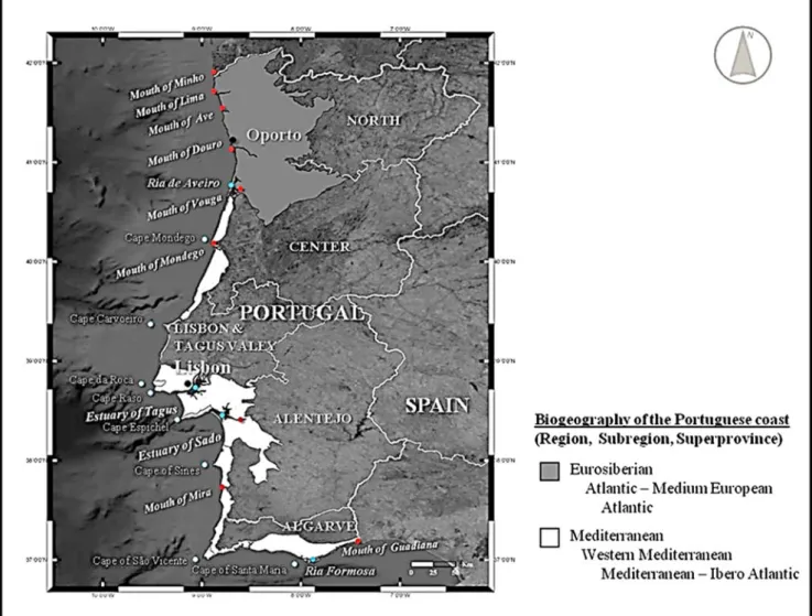 Fig. 2 Biogeographic regions, main capes, river mouths and estuaries along the continental Portuguese coast