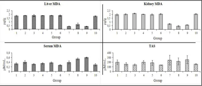 Figure 4. Redox status markers: lipidic peroxidation (MDA content) in liver (A), kidney (B)  and serum (C); serum TAS (D)