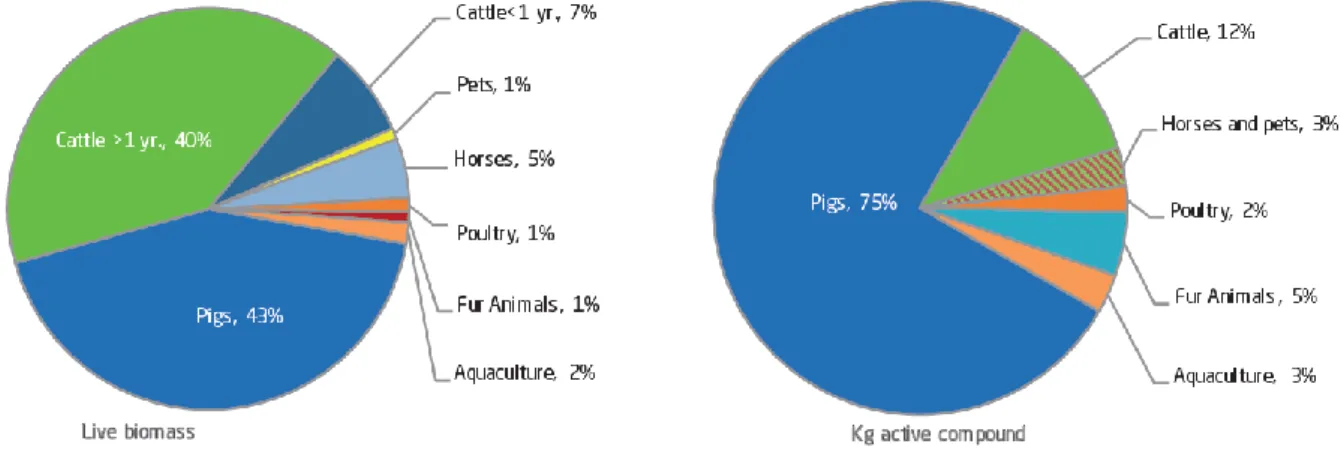 Figure 2 - Proportion between animal species according to live biomass (left) and AM consumption in kg  of active compound (right)