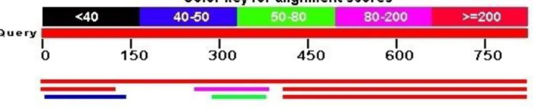 Figure  2.4:  BLAST  results  visualization  from  the  NCBI  website  (http://blast.ncbi.nlm.nih.gov/Blast.cgi)