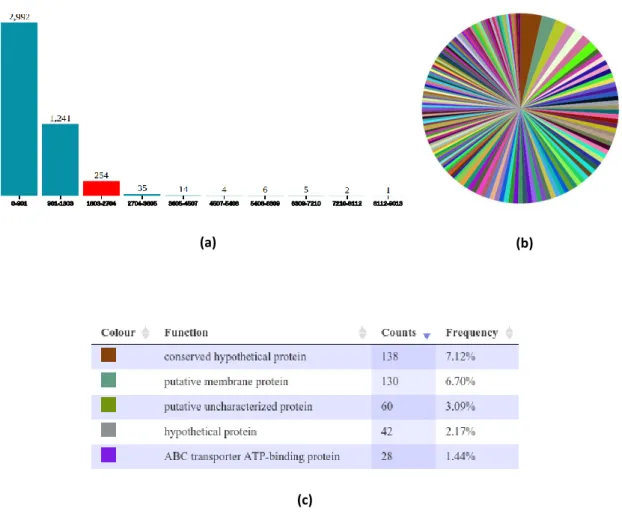 Figure  3.4:  Visual  representations  of  the  Streptococcus  pneumoniae  70585  regions’  product  and  size  distribution