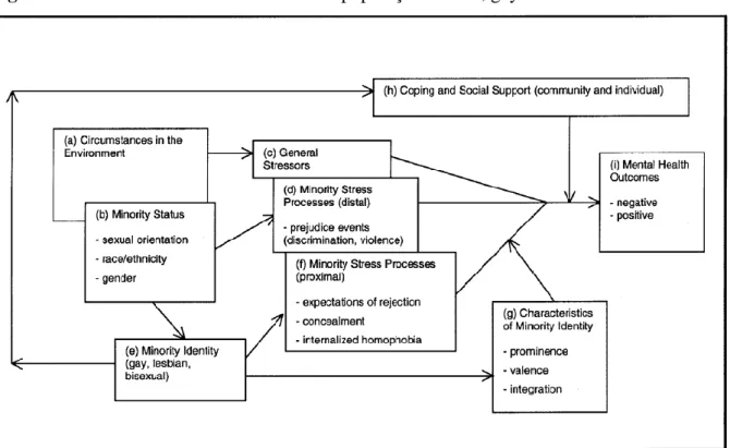 Figura 1. Processos de stress minoritário na população lésbica, gay e bissexual 