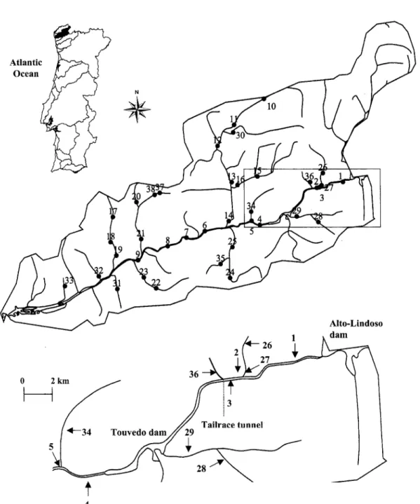 Fig.  1.  Map showing the locations  of the 38 sampling  sites in the Lima basin. Site codes refer to Table I