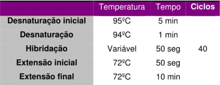 Tabela  3  –  Programa  de  PCR  utilizado  para  amplificação  dos  exões  2  e  3,  respectivamente  dos  genes  KRAS  e  CTNNB1