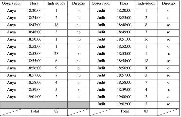 Tabela 5: Dados do primeiro censo feito no dormitório de Ten-Bel, em Las Galletas, no dia 23.02.2017