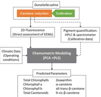 Figure III.1 Schematic representation of the methodology followed. Dashed arrows represent the off-line  measurements required for model calibration